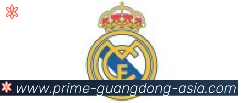 广东体彩合作伙伴
